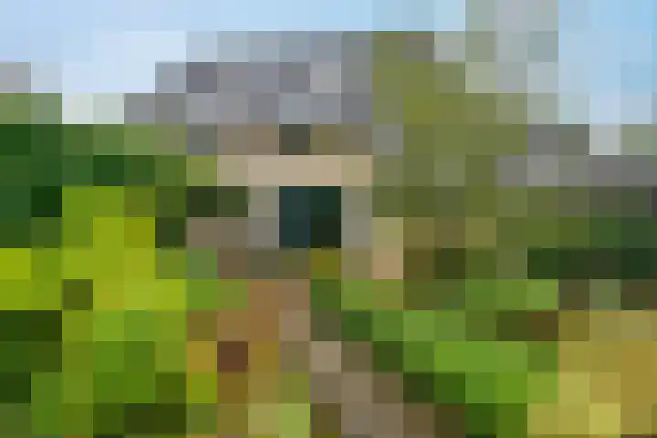 Karspel 7 Roden thumbnail 29