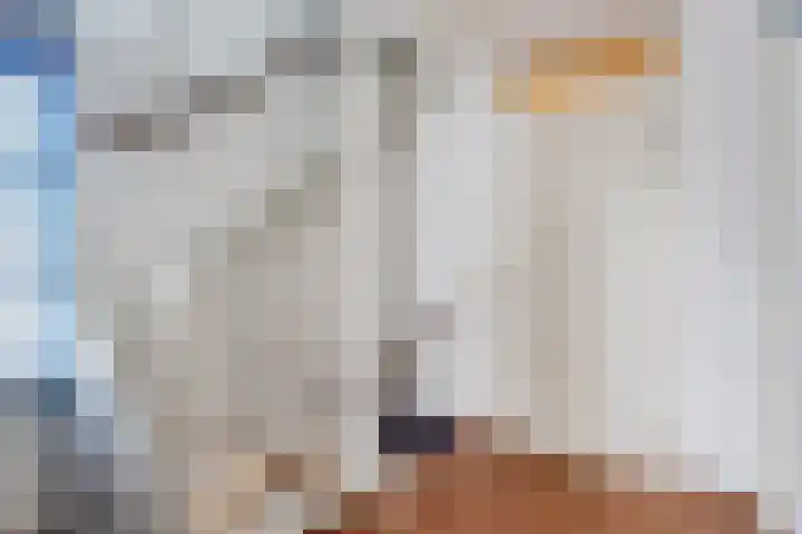 Karspel 7 Roden thumbnail 40