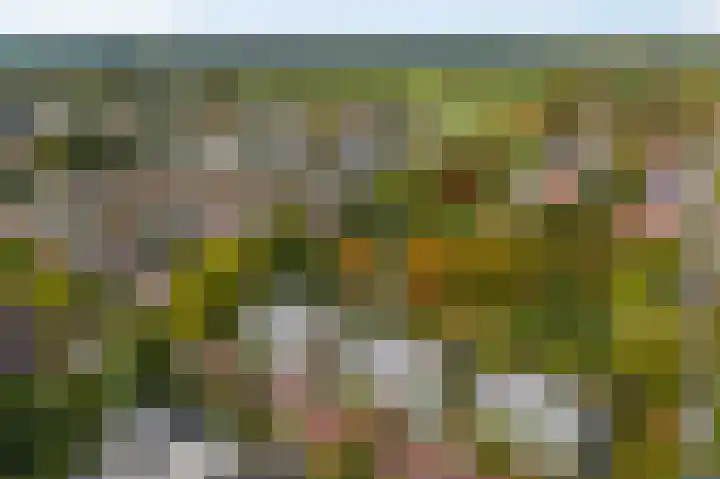 Karspel 7 Roden thumbnail 44