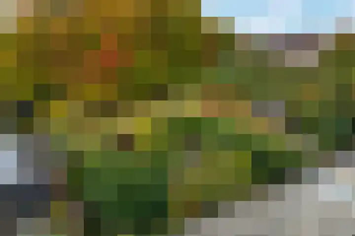 Karspel 7 Roden thumbnail 47
