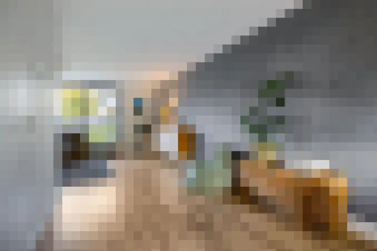 Karspel 8 Roden thumbnail 10