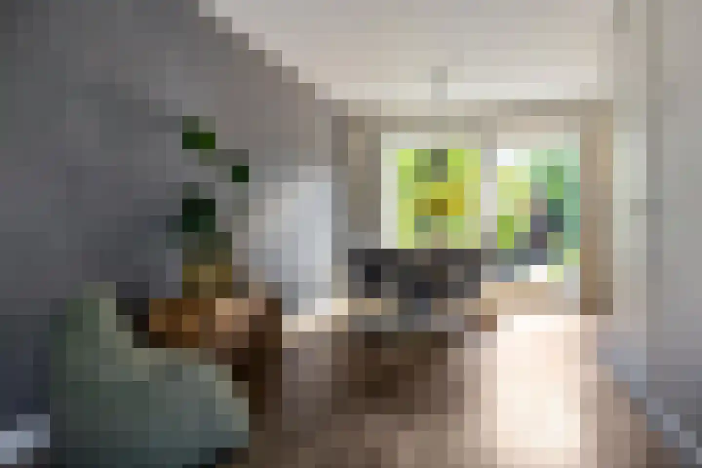 Karspel 8 Roden thumbnail 16