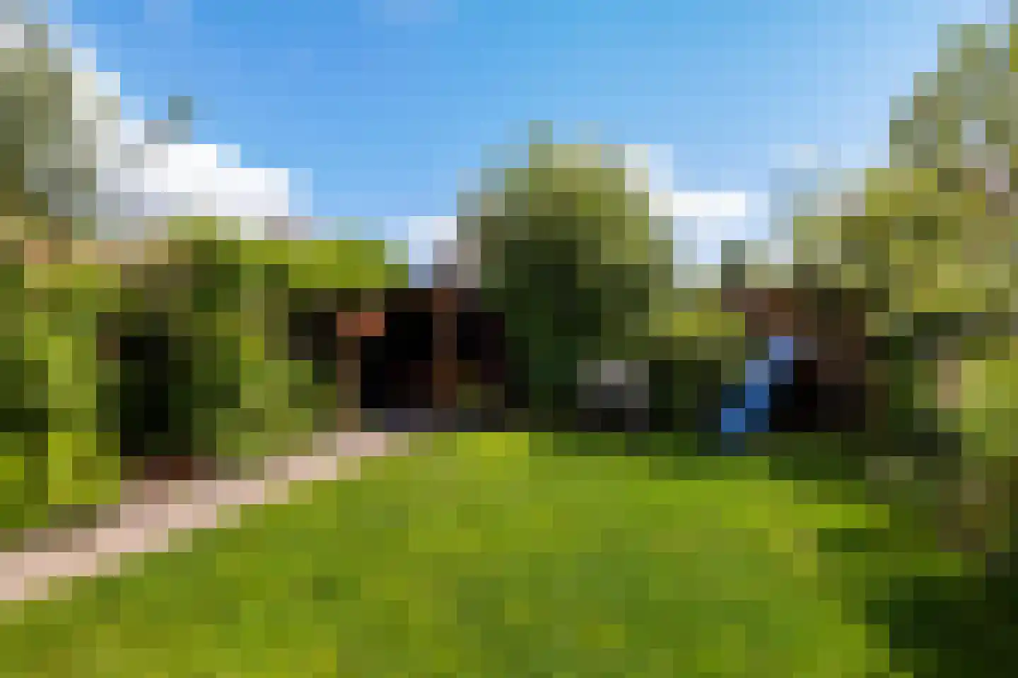 Karspel 8 Roden thumbnail 22