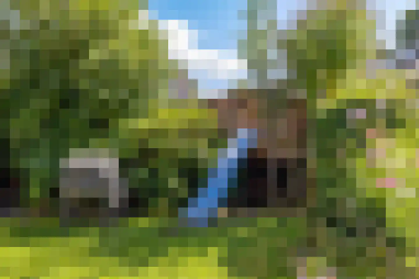Karspel 8 Roden thumbnail 23