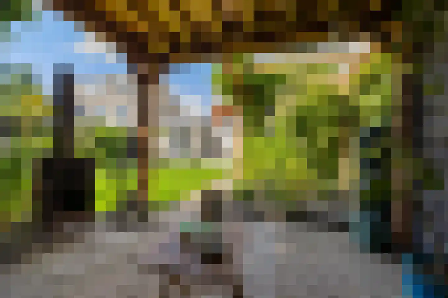 Karspel 8 Roden thumbnail 25
