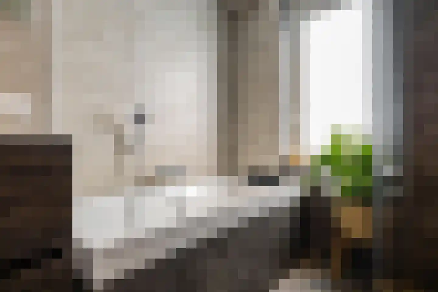 Karspel 8 Roden thumbnail 38