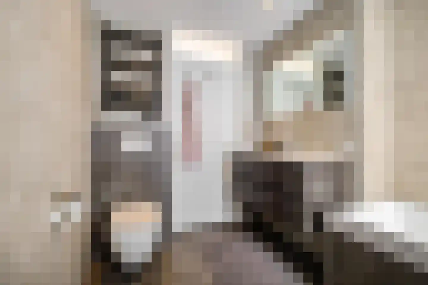 Karspel 8 Roden thumbnail 40