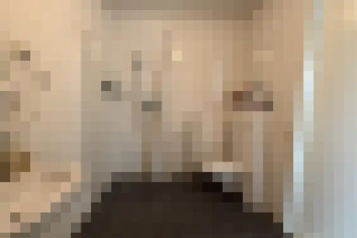 Karspeldreef 1369 Amsterdam thumbnail 6