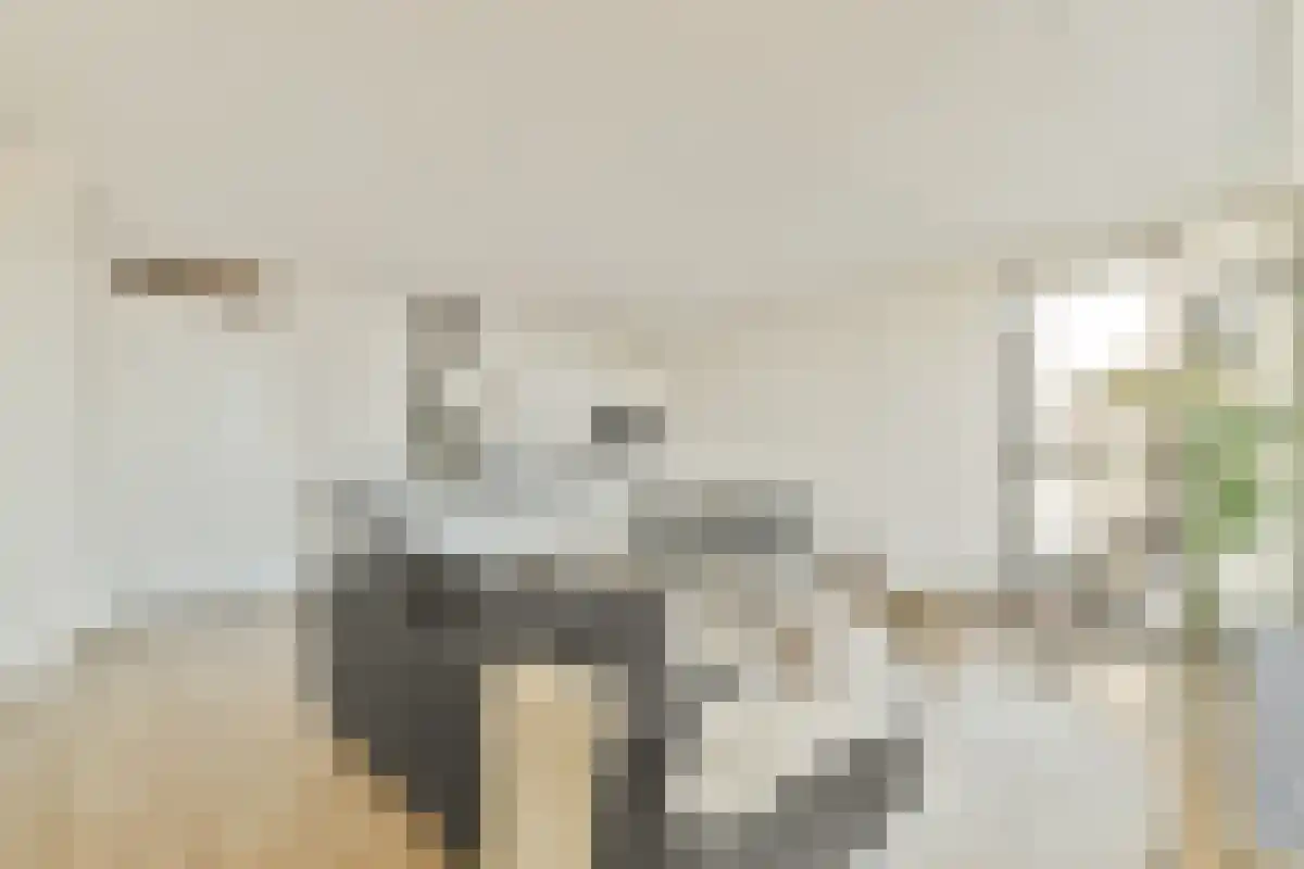 Karspeldreef 4 C 1 Amsterdam thumbnail 4