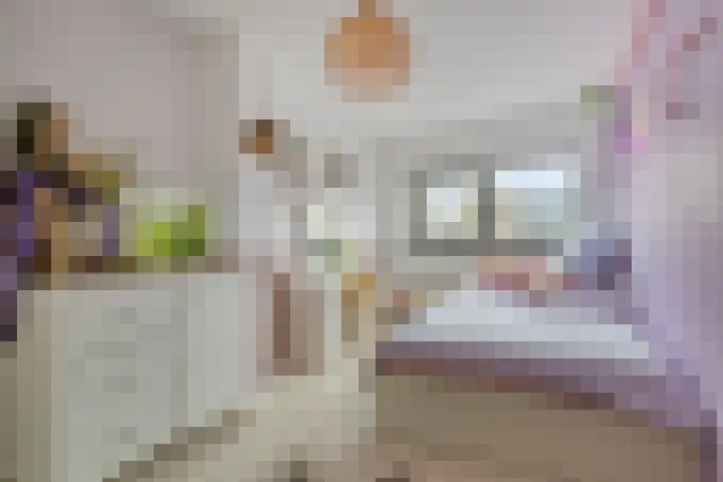 Karspelhof 13 Heerhugowaard thumbnail 28