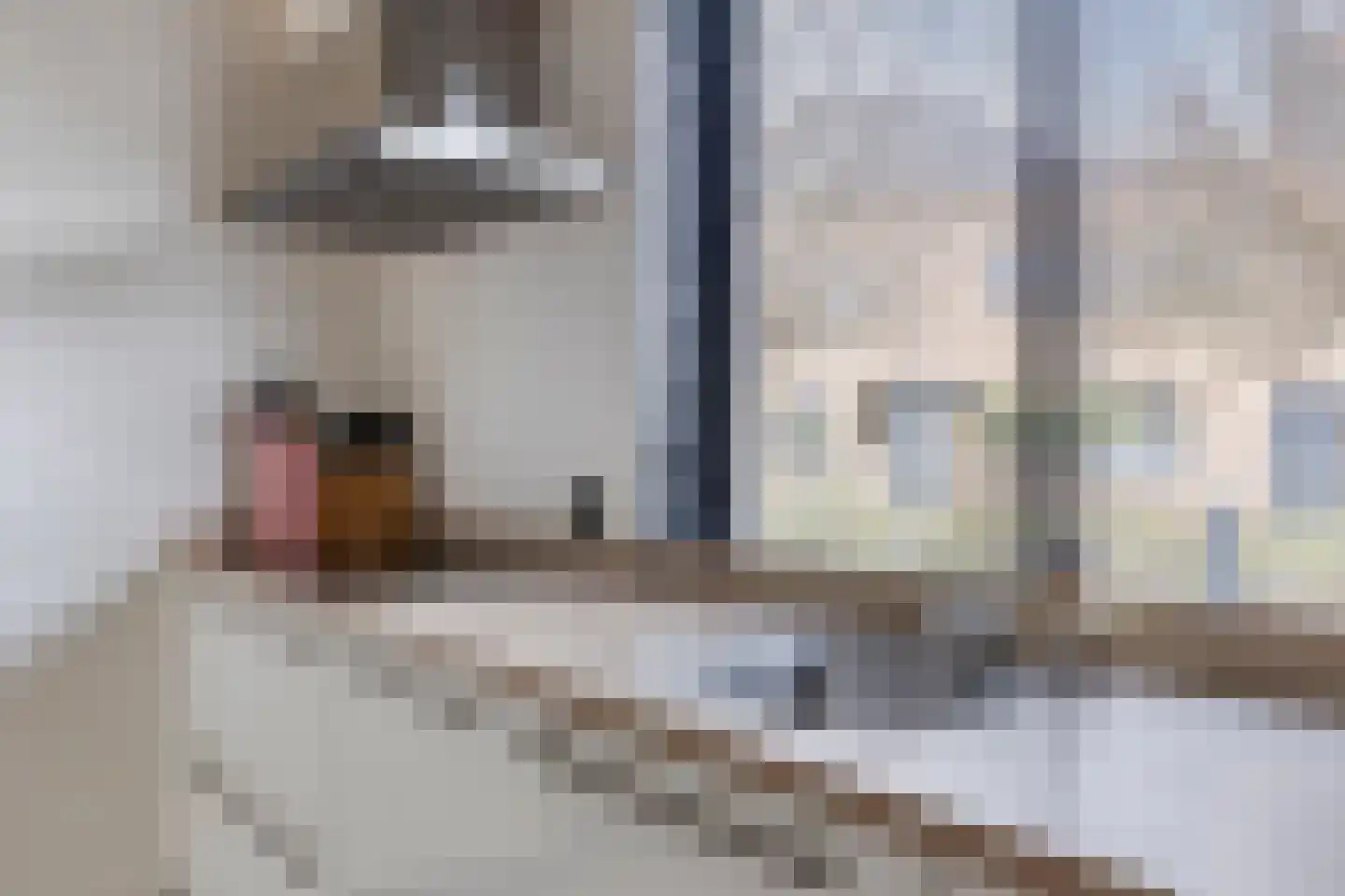 Karspelhof 13 Heerhugowaard thumbnail 5