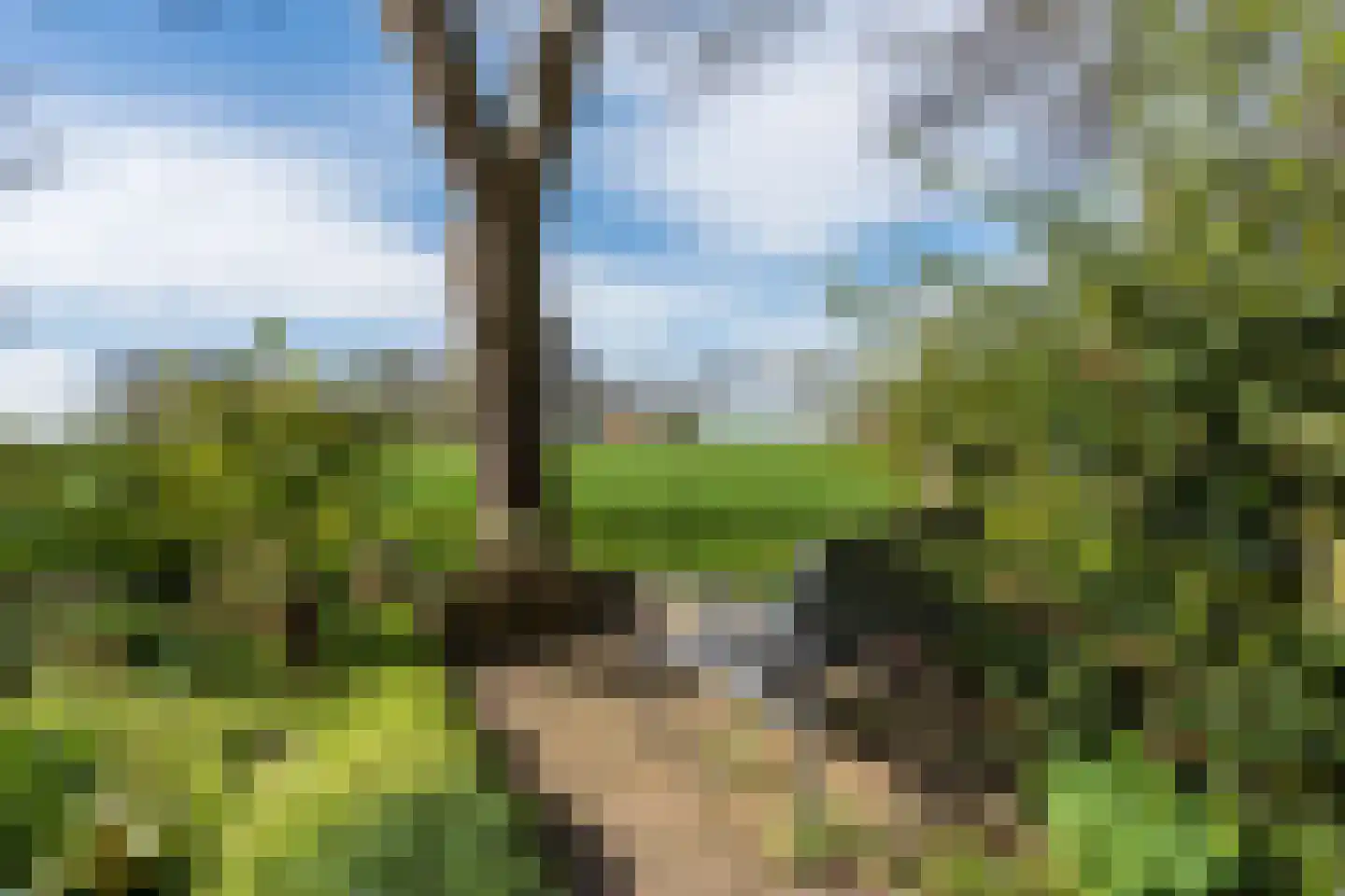 Karspellaan 11 Nieuw Scheemda thumbnail 4