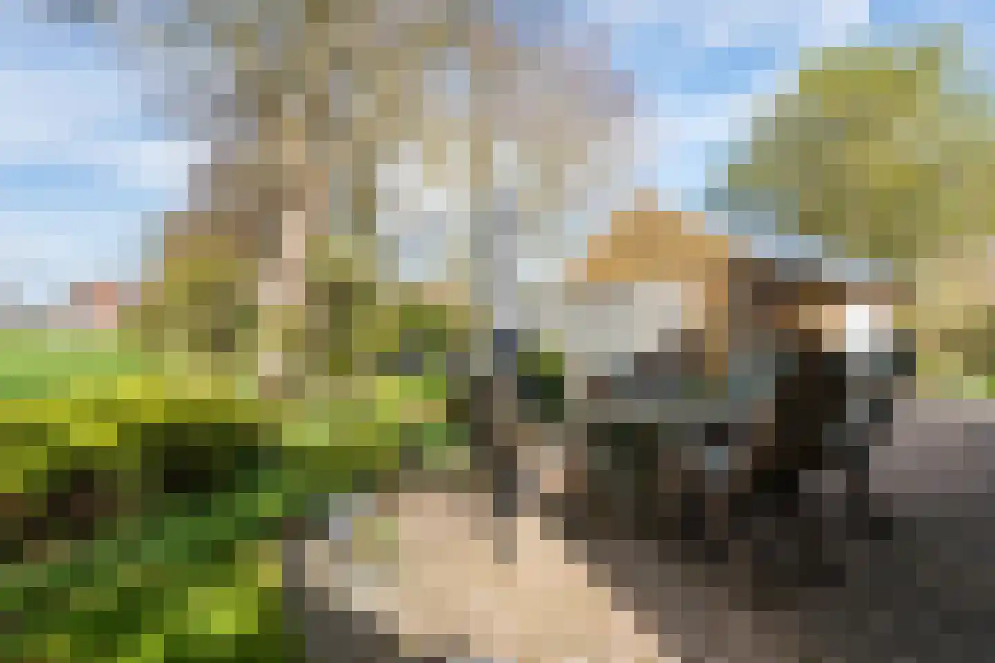 Karspellaan 11 Nieuw Scheemda thumbnail 43