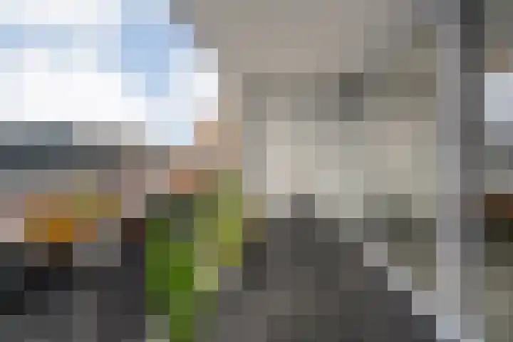 Karspelstraat 14 Beilen thumbnail 32