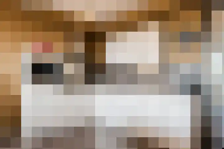 Karspelstraat 36 Beilen thumbnail 14