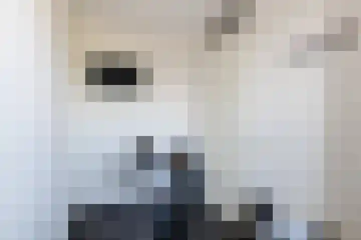 Karspelstraat 36 Beilen thumbnail 18