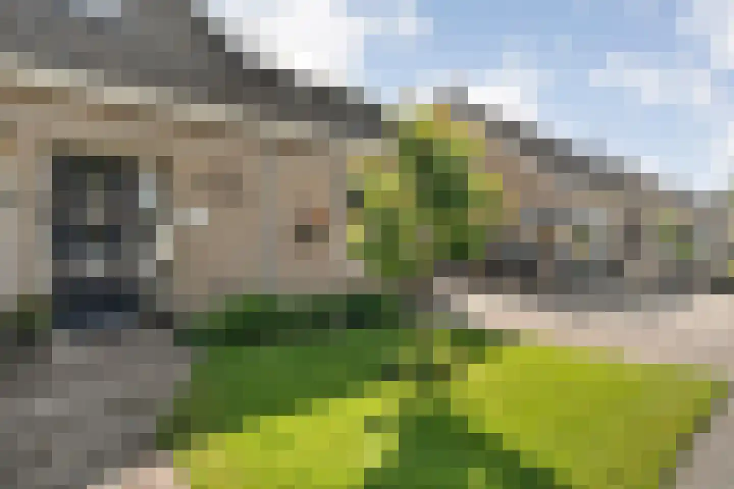 Karspelstraat 36 Nijeveen thumbnail 39