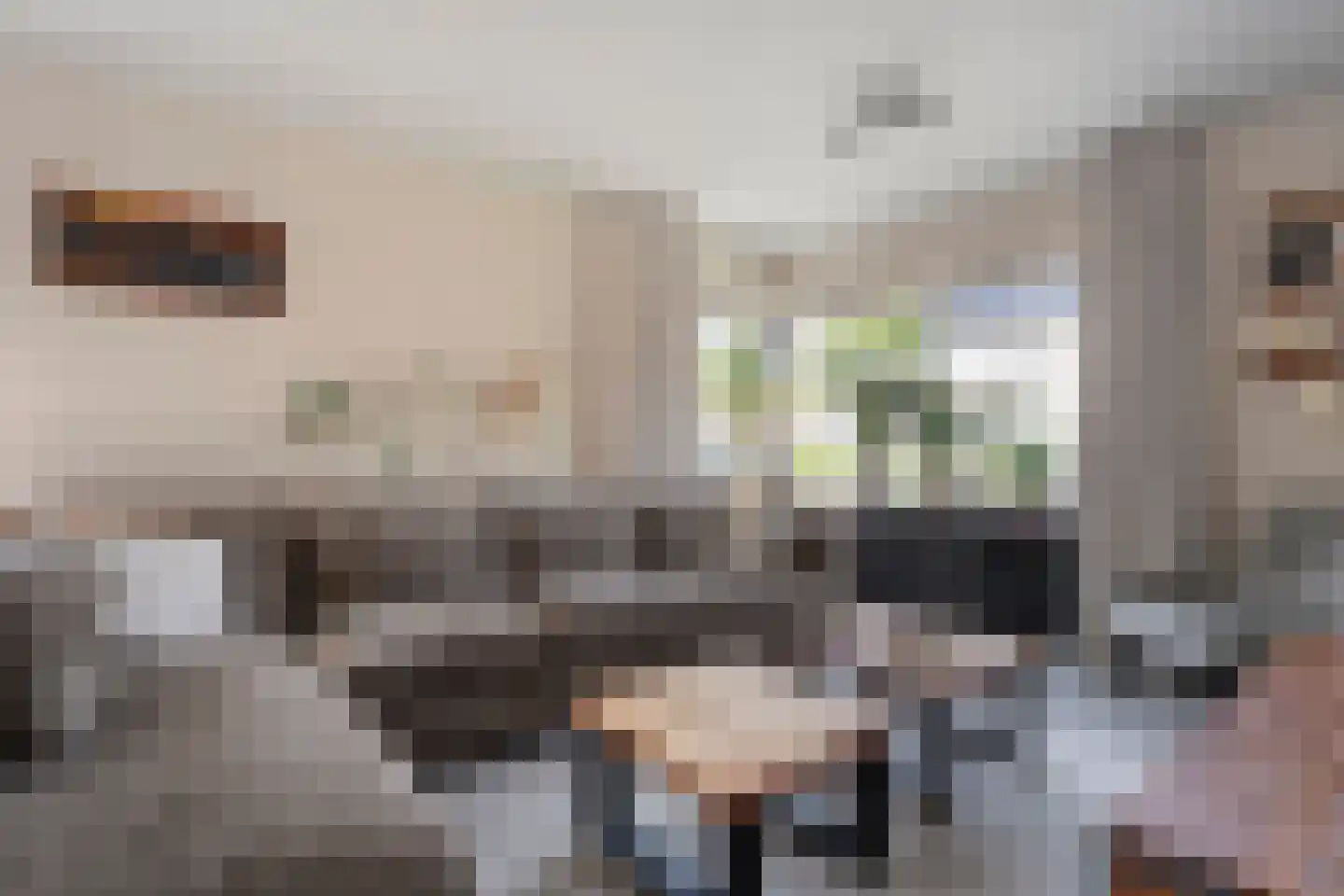 Karspelstraat 36 Nijeveen thumbnail 5