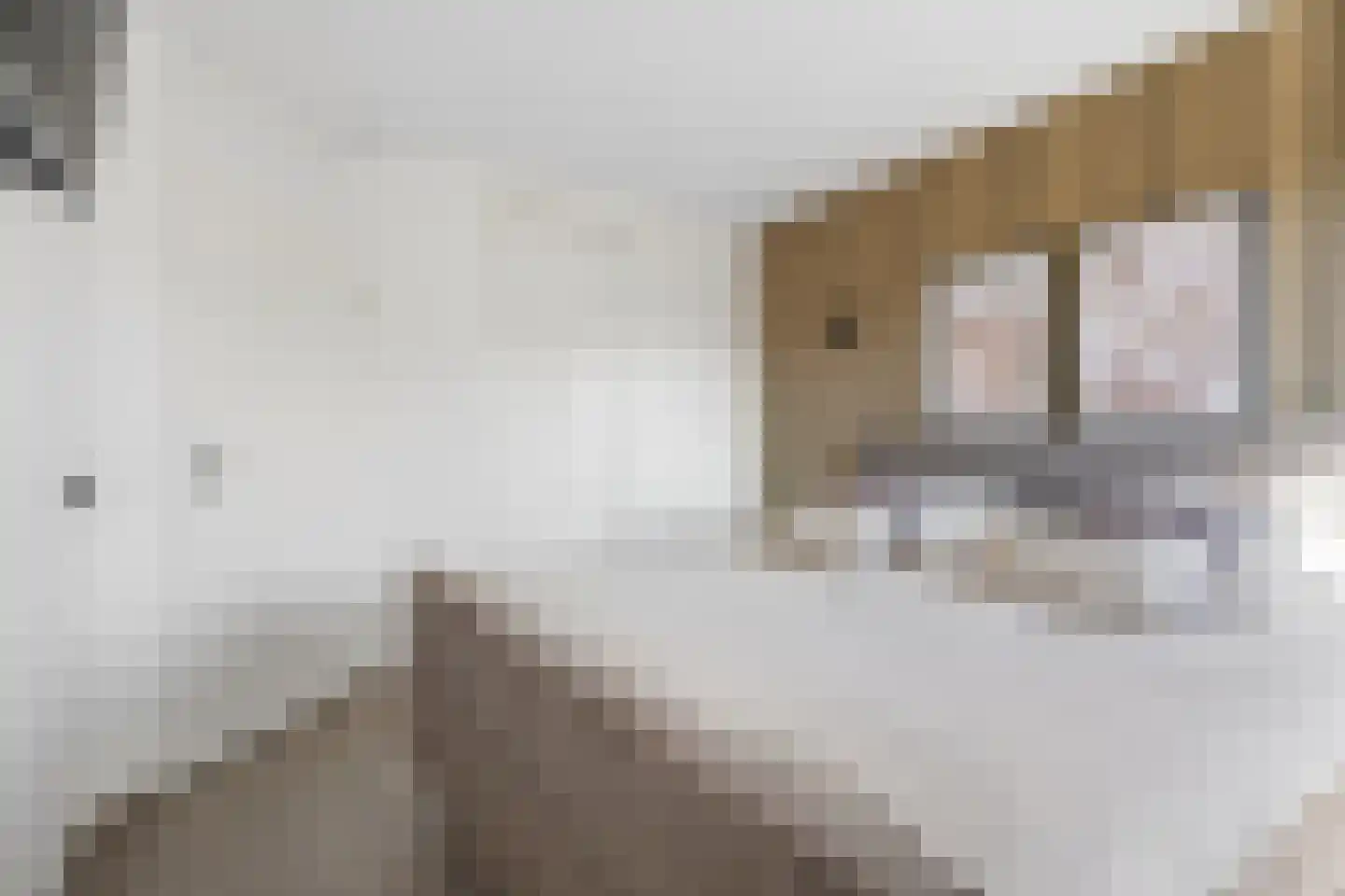 Karssenstraat 20 Ede thumbnail 18