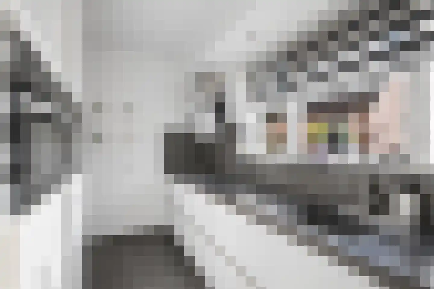 Karssenstraat 20 Ede thumbnail 5