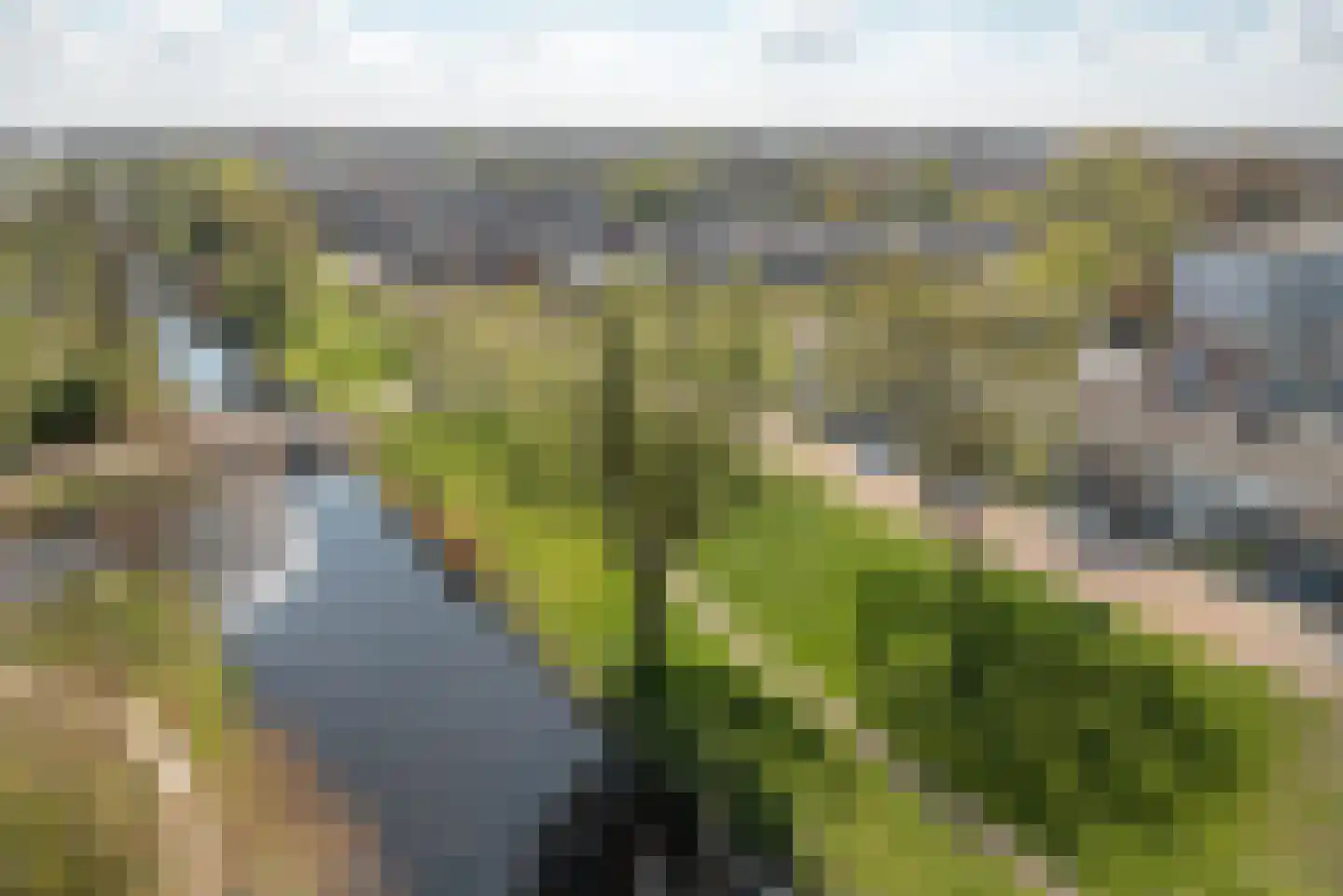 Karst de Jongweg 80 Heerenveen thumbnail 35