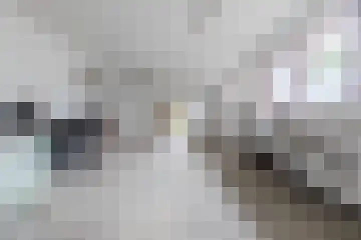 Karstraat 11 Mill thumbnail 34
