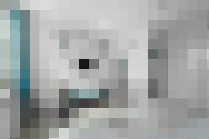 Karstraat 15 b Huissen thumbnail 17