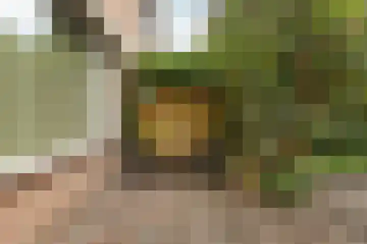 Karstraat 15 b Huissen thumbnail 32