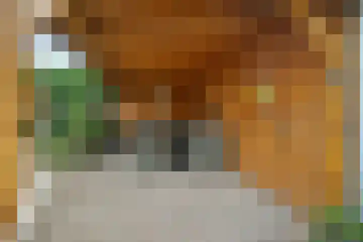 Karstraat 15 b Huissen thumbnail 34