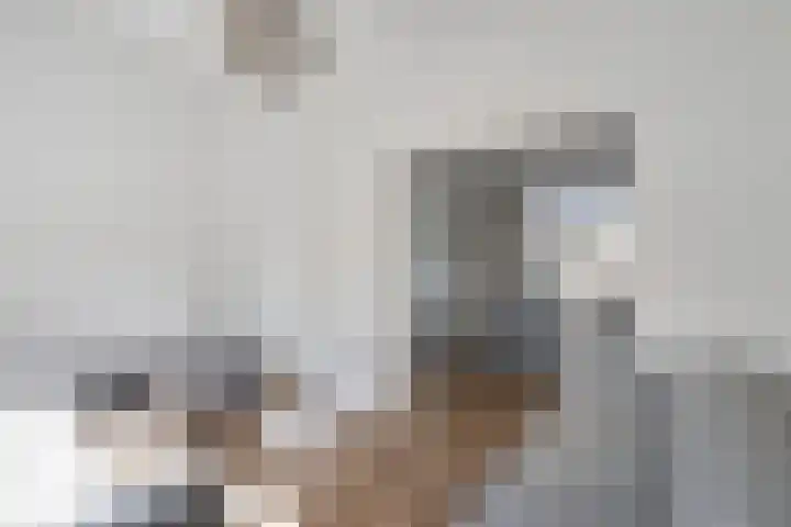 Karstraat 16 Huissen thumbnail 10