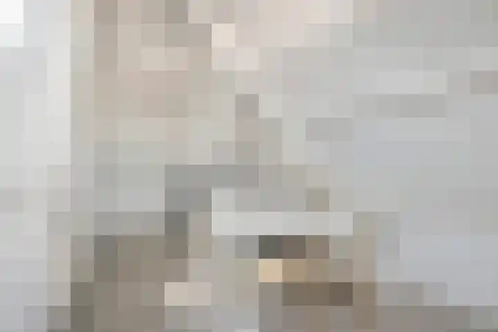 Karstraat 16 Huissen thumbnail 28