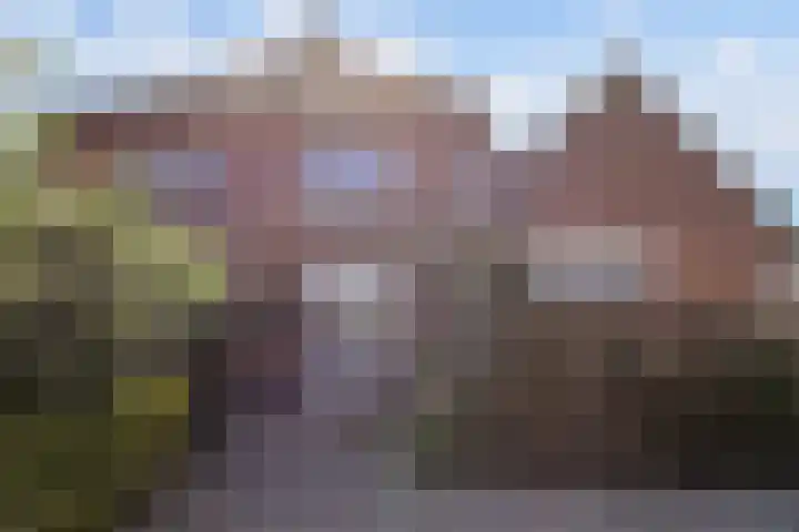 Karstraat 16 Huissen thumbnail 30