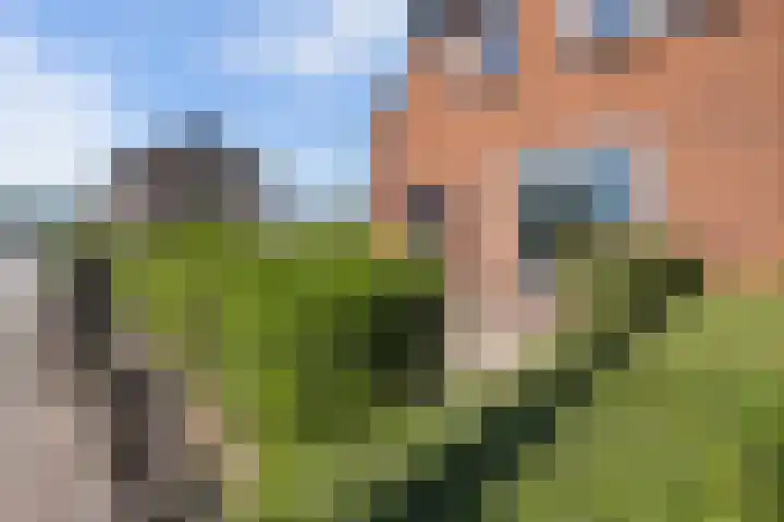 Karstraat 16 Huissen thumbnail 37