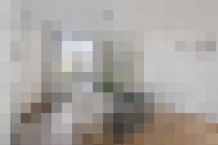 Karstraat 16 Huissen thumbnail 5