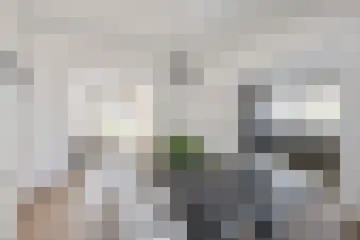 Karstraat 16 Huissen thumbnail 7