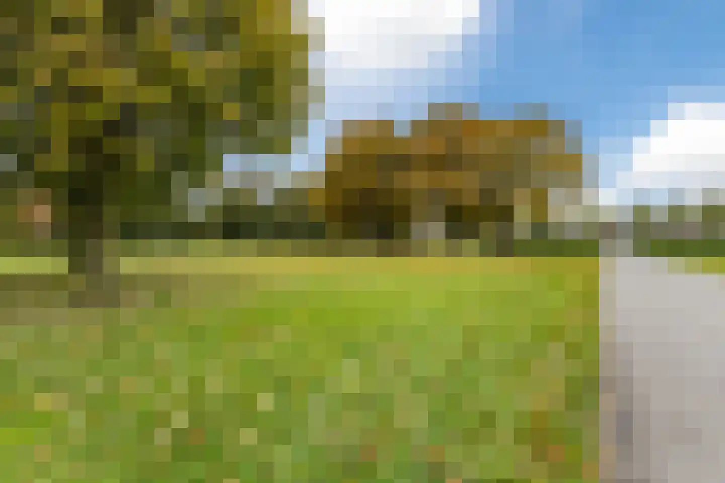 Karstraat 19 Mill thumbnail 101