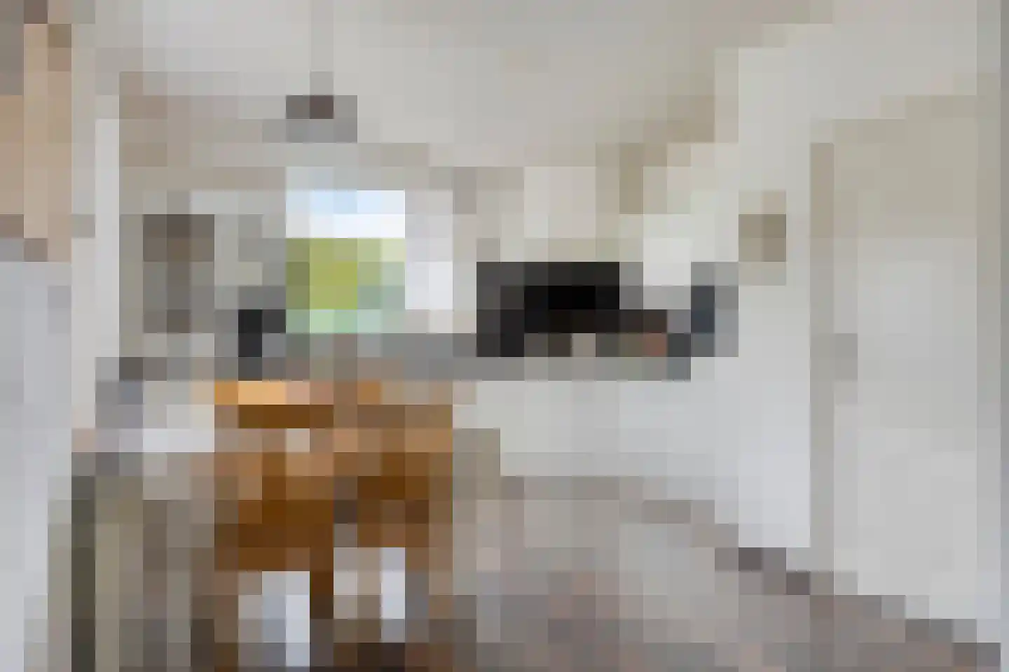 Karstraat 19 Mill thumbnail 13