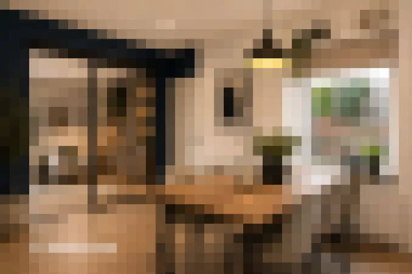 Karstraat 19 Mill thumbnail 18