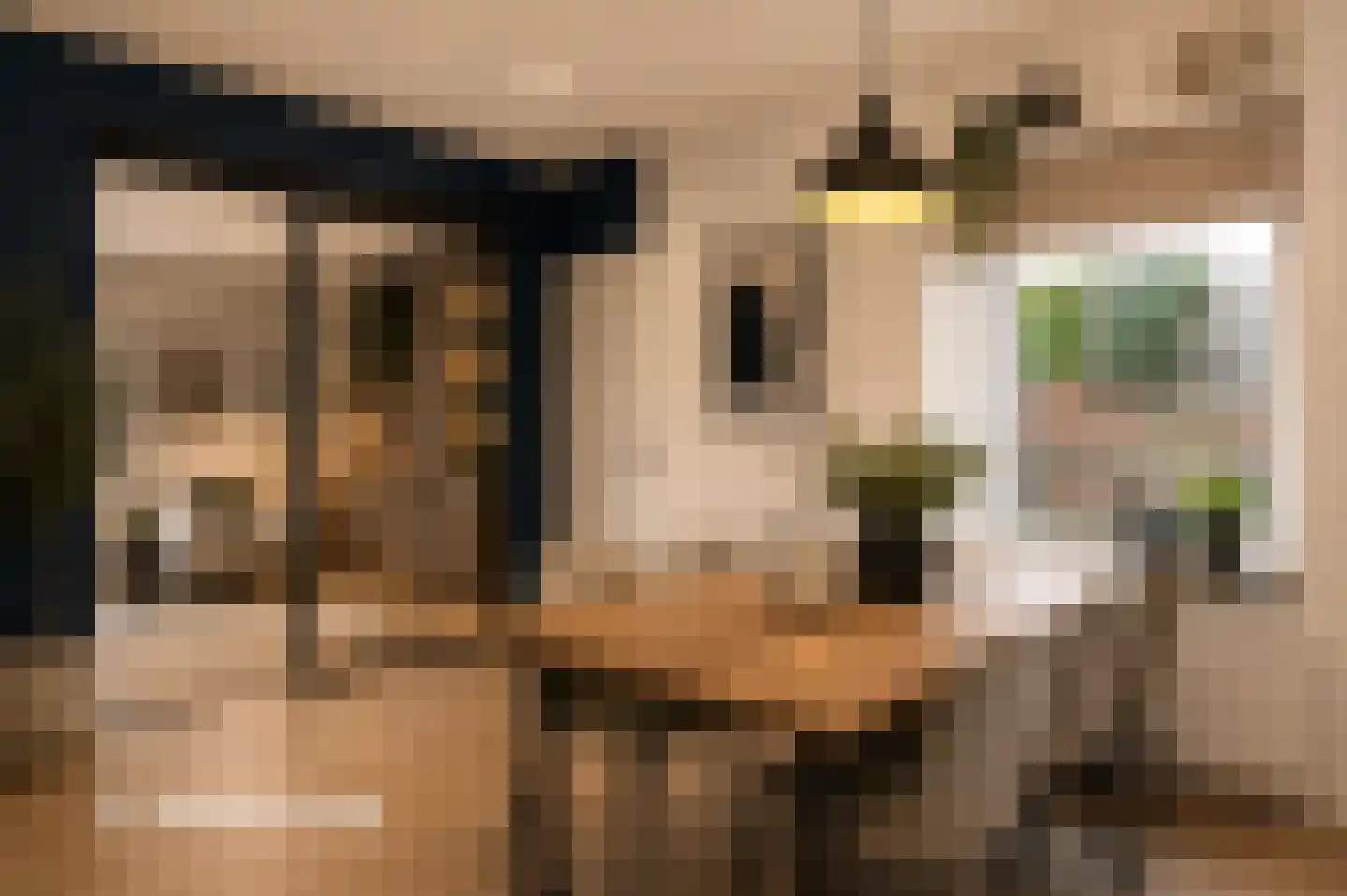 Karstraat 19 Mill thumbnail 36