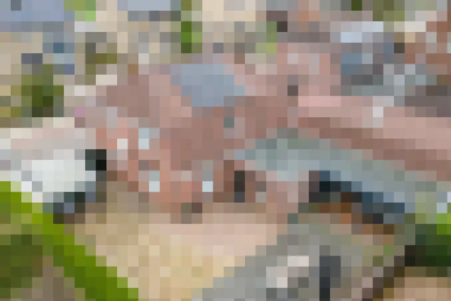 Karstraat 19 Mill thumbnail 48