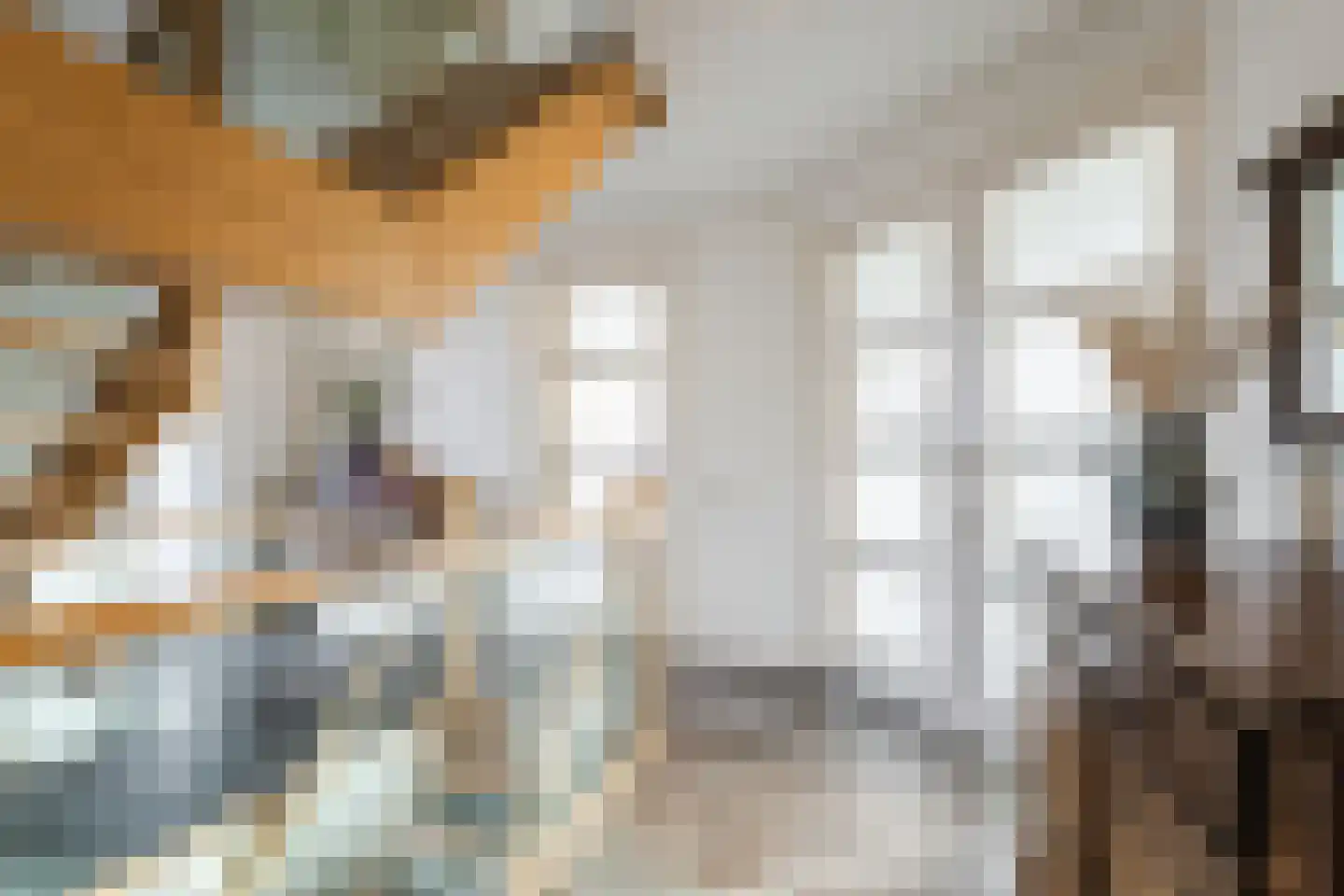 Karstraat 21 Mill thumbnail 19