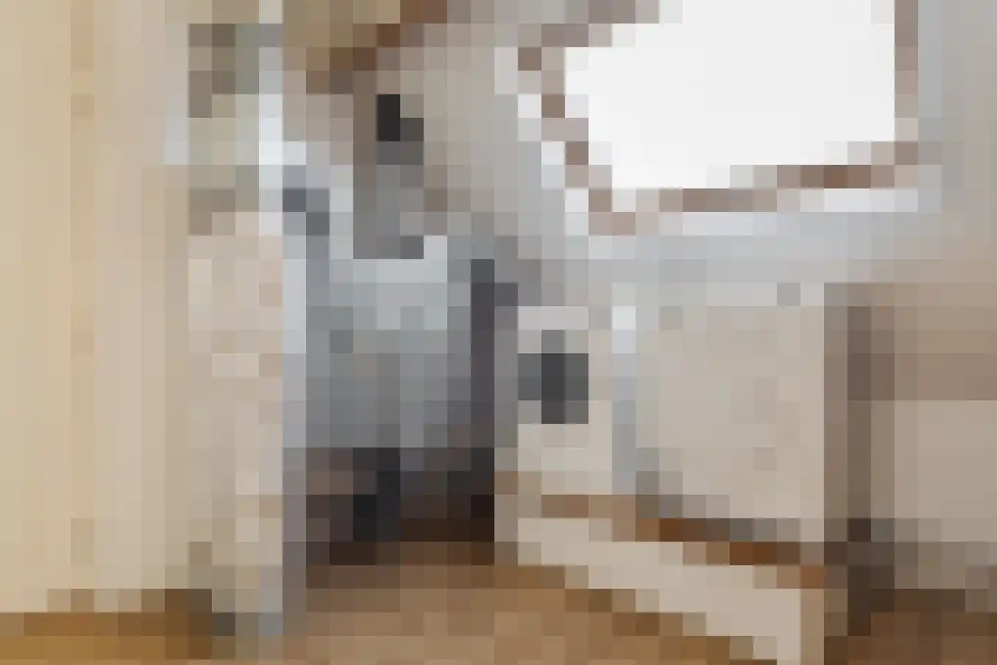 Karstraat 21 Mill thumbnail 33