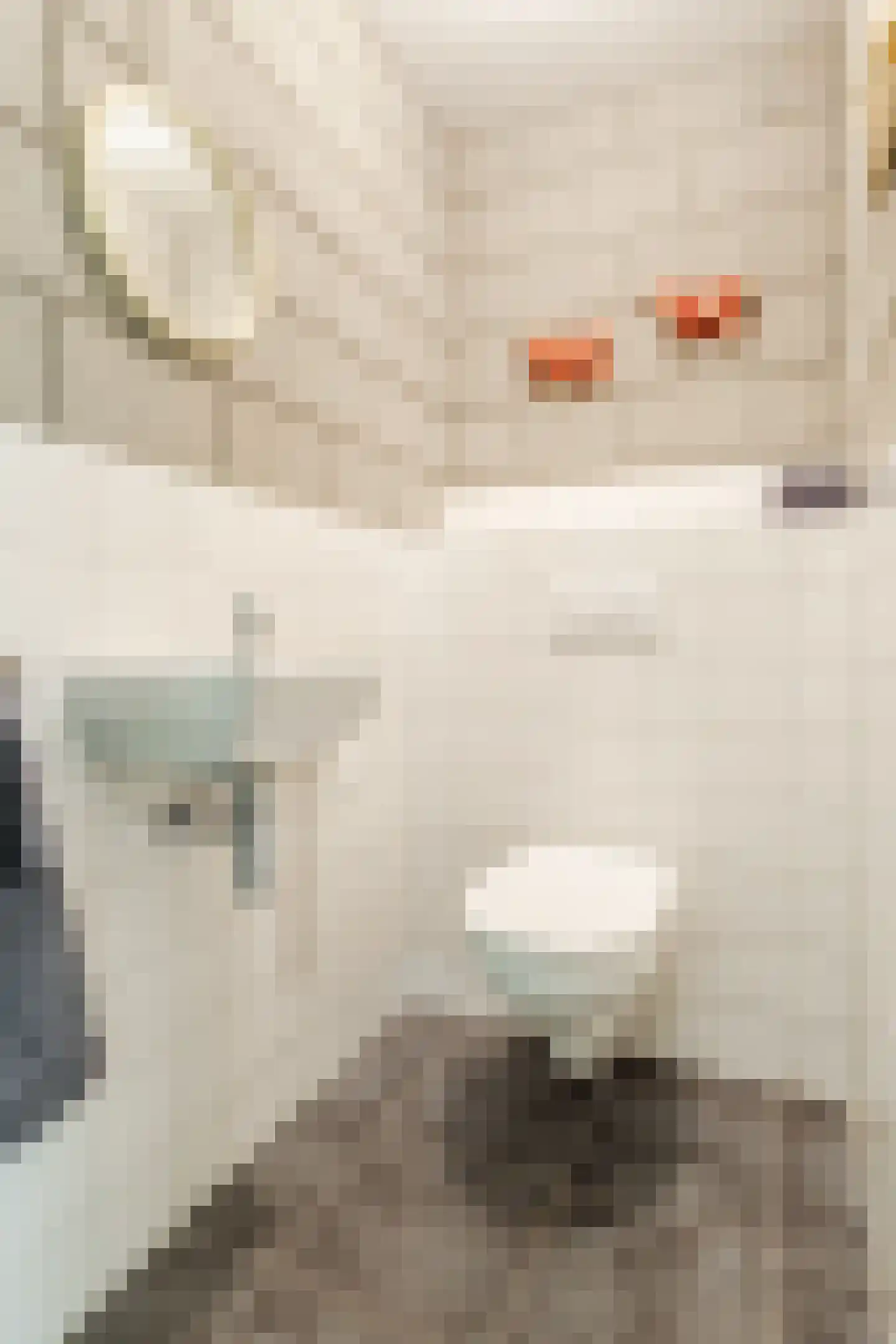 Karstraat 21 Mill thumbnail 37