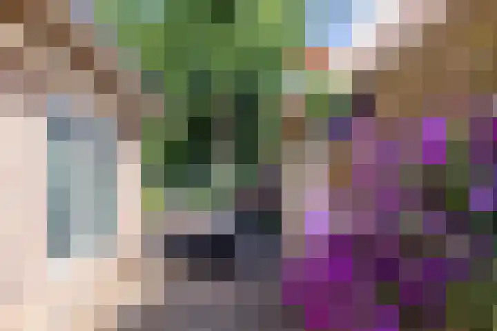 Karstraat 26 Mill thumbnail 24