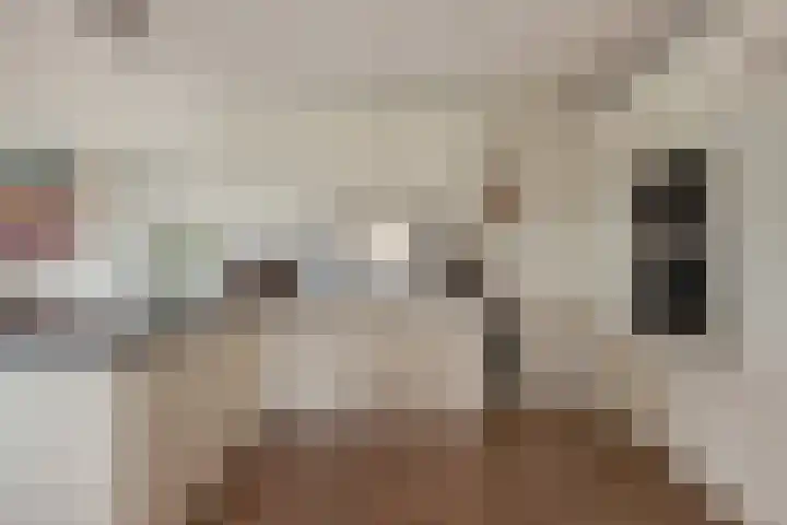 Karstraat 26 Mill thumbnail 44