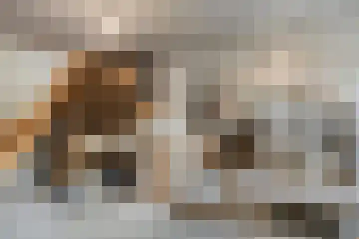 Karstraat 26 Mill thumbnail 60