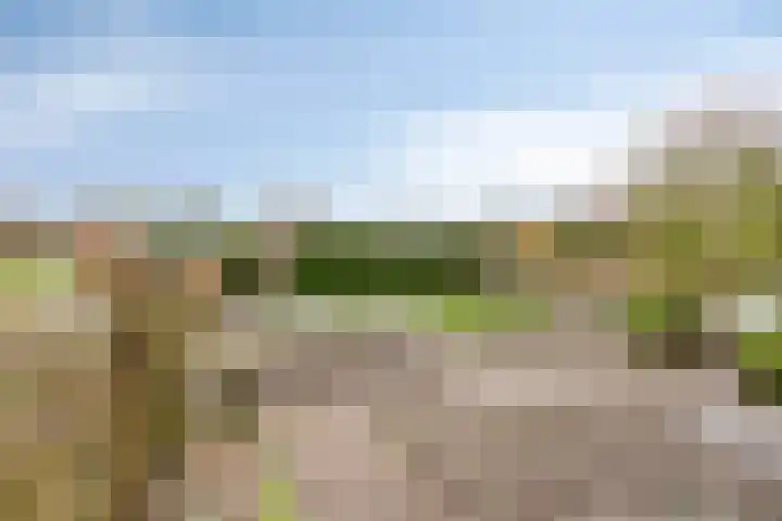 Karstraat 26 Mill thumbnail 65