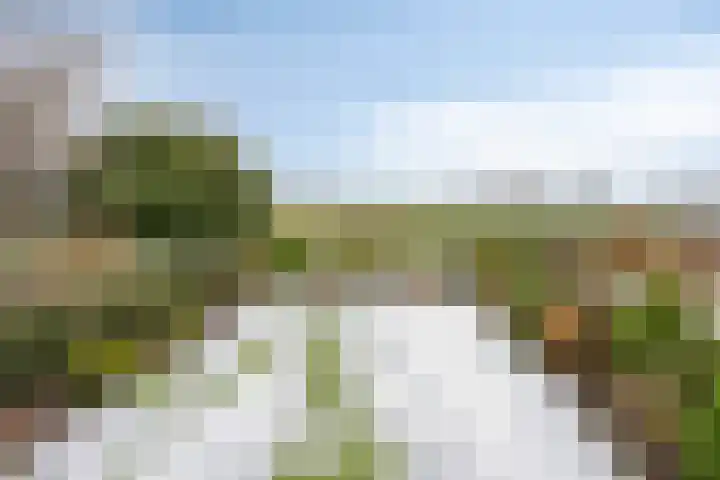Karstraat 26 Mill thumbnail 71