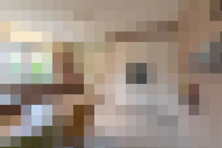 Karstraat 26 Mill thumbnail 93