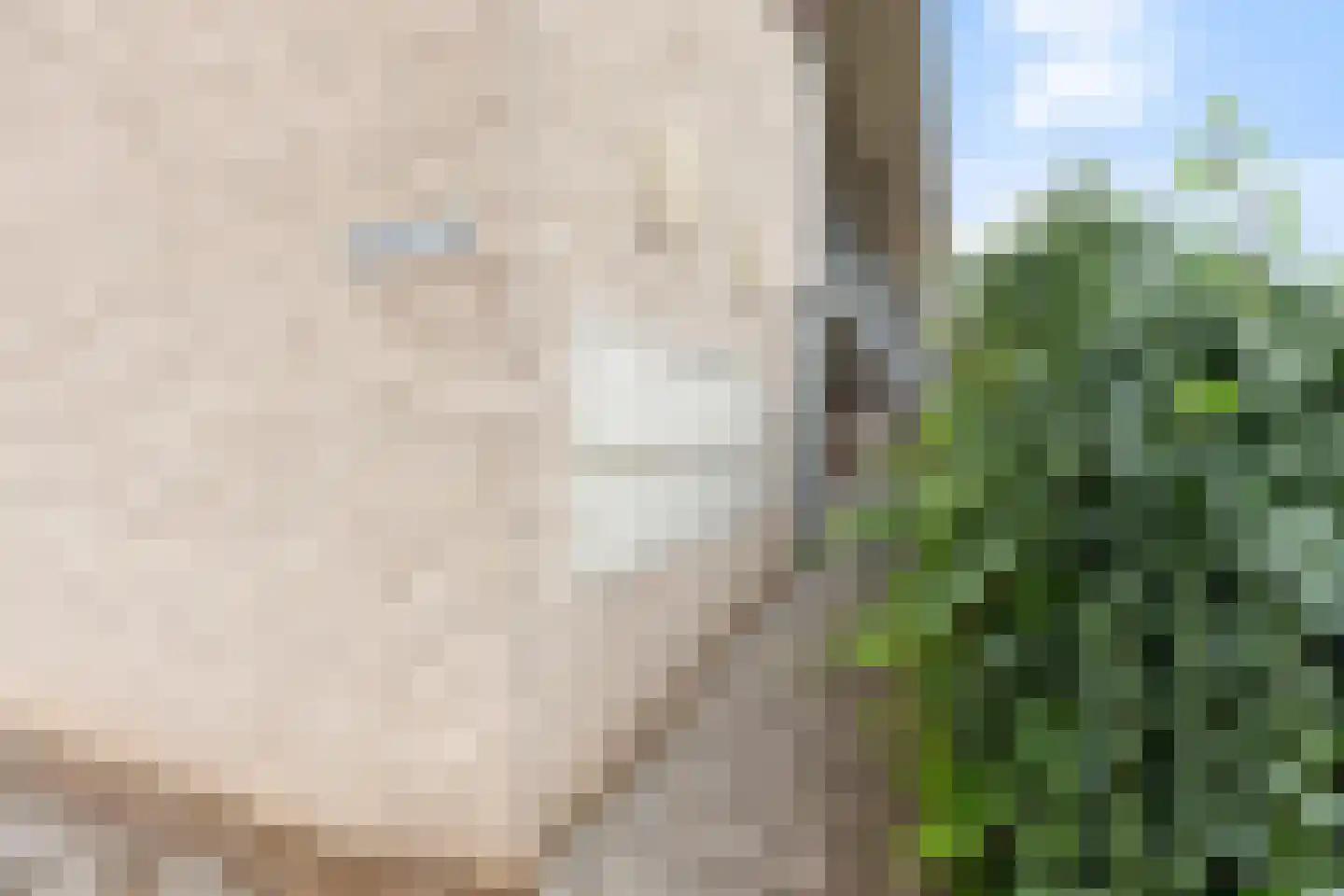 Karstraat 30 d Huissen thumbnail 19